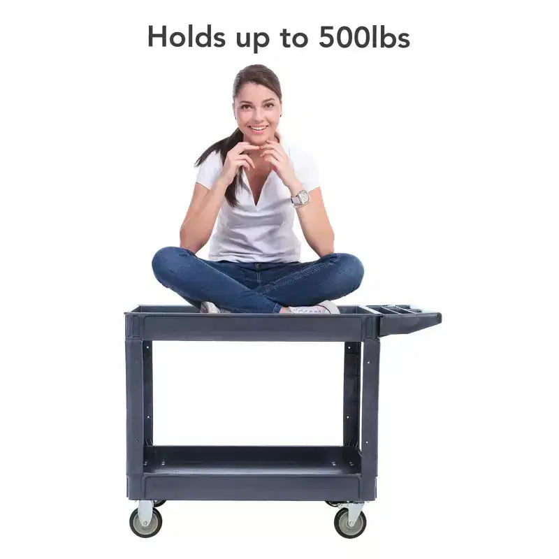 Chariot de service utilitaire à 2 niveaux, capacité de 227 kg, chariot utilitaire en plastique robuste avec roues rotatives à 360°, poignée de rangement, pour garage, entrepôt, bureau